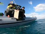 Onde fino a 4 metri: sospesi i traghetti per l'Arcipelago - ToscanaInDiretta