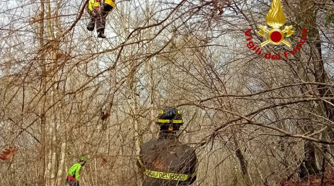 vigili del fuoco bosco pegaso