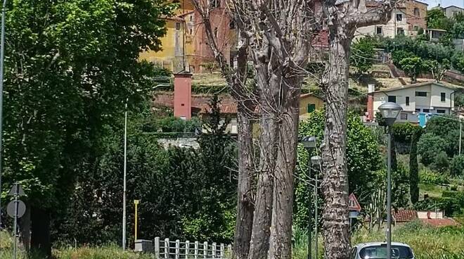 alberi pericolanti via usciana ponticelli