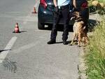 polizia municipale Serravalle