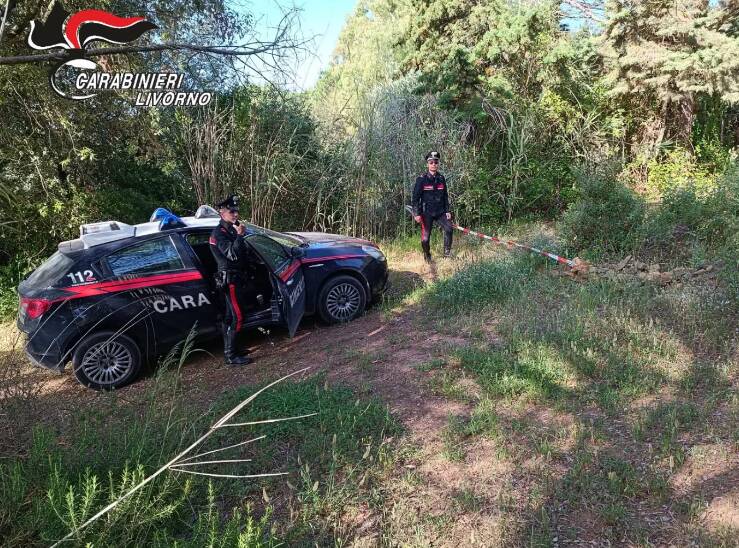 carabinieri livorno tentato omicidio bosco 