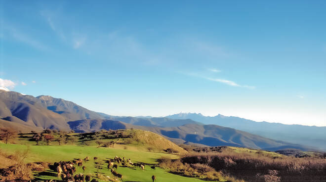 appennino settentrionale