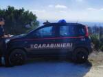 carabinieri forestali San Rossore