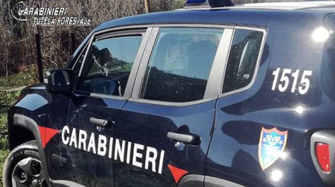 carabinieri Nipaaf forestali Livorno