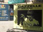 Lucca summer festival concerto gazzelle