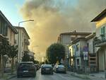 incendio oleificio stefanini Altopascio