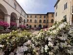 borgo a mozzano