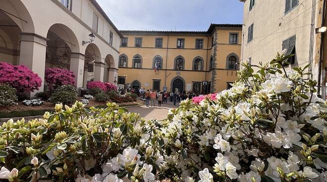 borgo a mozzano