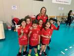 corsi di minivolley S3 Lupi Santa Croce