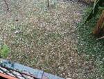 Hail in Lucca