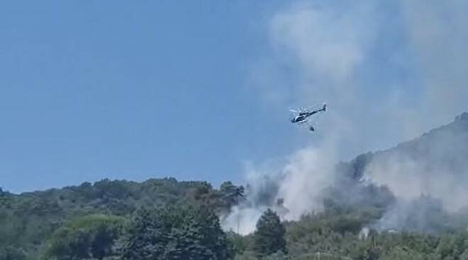 incendio bosco oltreserchio