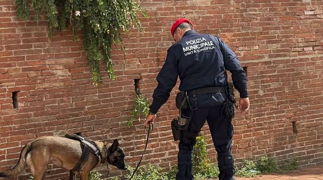 cinofila, cane, polizia municipale, fucecchio