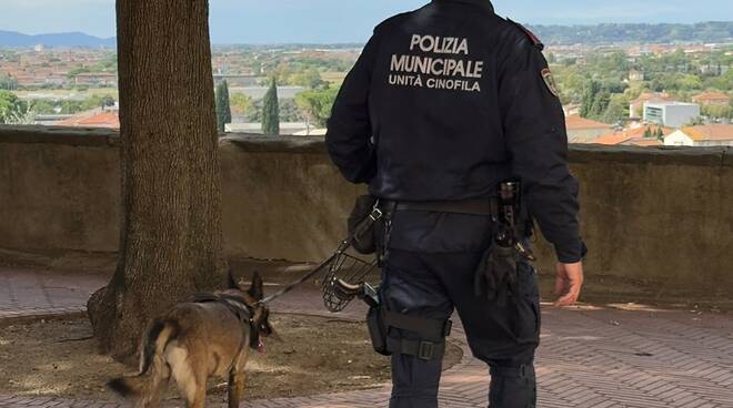 cinofila, cane, polizia municipale, fucecchio