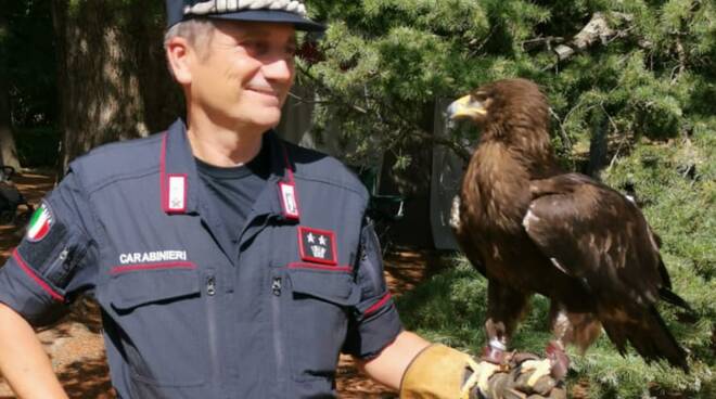 cites forestali cambio di guardia