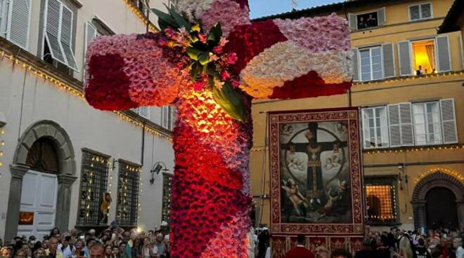 fiori santa croce