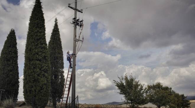 lavori E-Distrbuzione rami