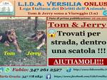 tom e yerry