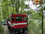 vigili del fuoco bosco 