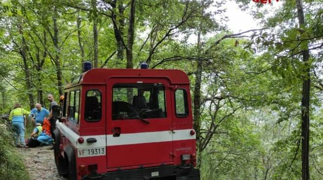 vigili del fuoco bosco 