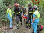 vigili del fuoco bosco 