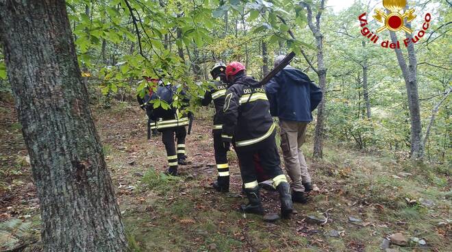 vigili del fuoco, cane, sillano